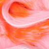 Salmon Pink Orange