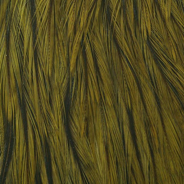 Wapsi Dry Fly Rooster Necks