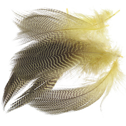 Wapsi Teal Barred Flank