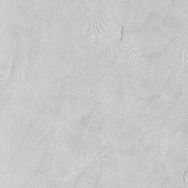 Wapsi Hen Saddle Patches