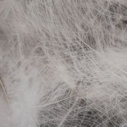 FFGene CDC Goose Jambo Pack - 1 gr