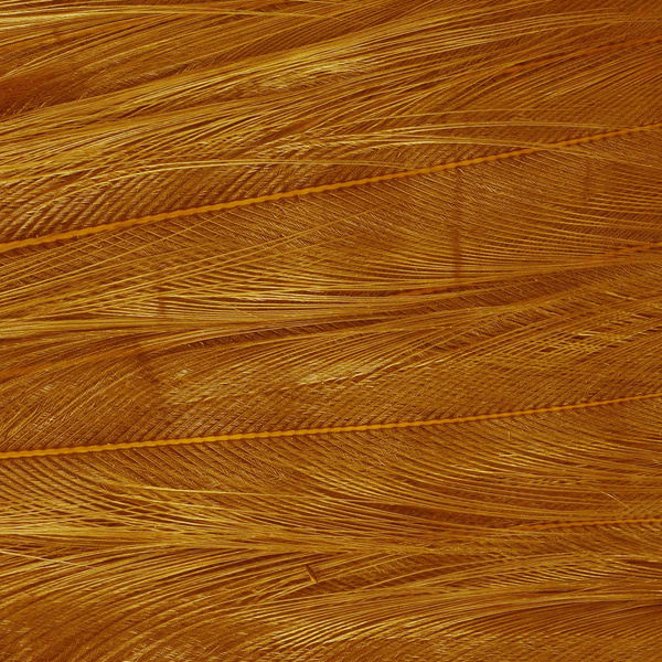 Ewing Deceiver Patch Dyed