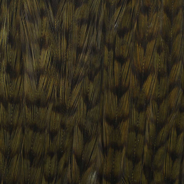 Ewing Grizzly Half Capes