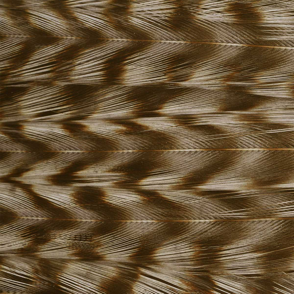 Ewing Deceiver Patch Dyed