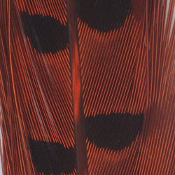 Spirit River UV2 Ringneck Pheasant Tail