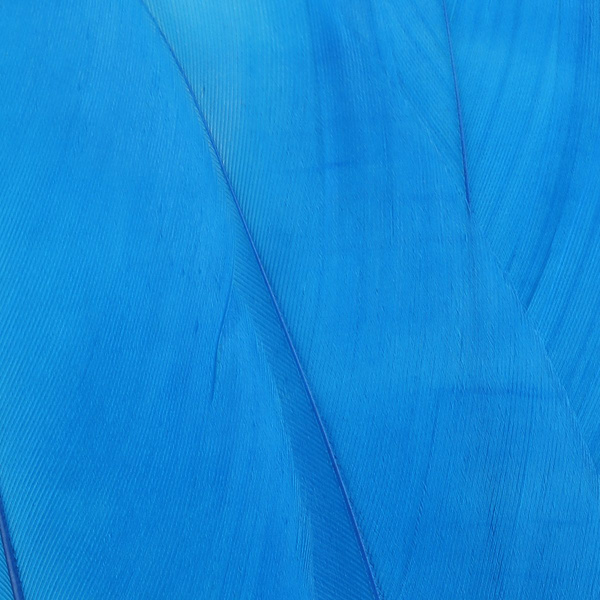 FFGene Goose Shoulders