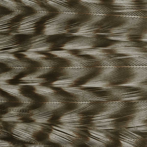 Ewing Deceiver Patch Dyed