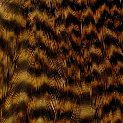 Wapsi Grizzly Hen Neck