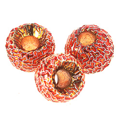 Główki wolframowe FFGene Tungsten Furrow Beads