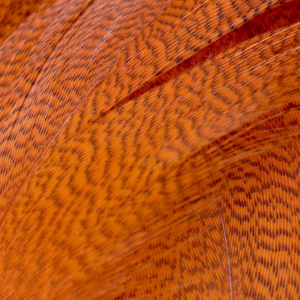 FFGene Mallard Flank