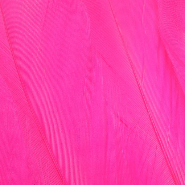 FFGene Goose Shoulders