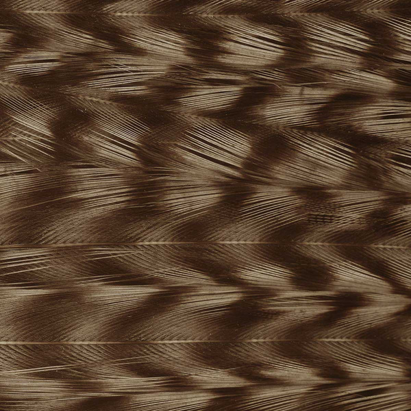 Ewing Deceiver Patch Dyed