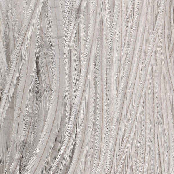 Metz Cock Cape #3 1/2