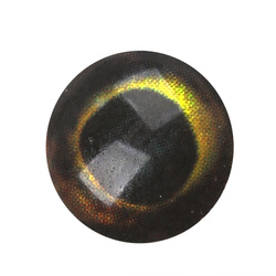 Oczy do sztucznych much H2O Lightweight Rainbow Dumbells