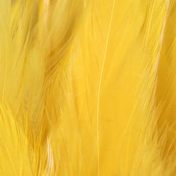 FFGene Strung Saddles Hackle