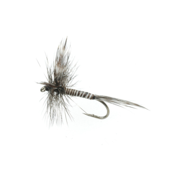 Standard Dries-Mosquito (114)