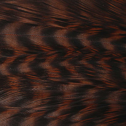 Ewing Deceiver Patch Dyed