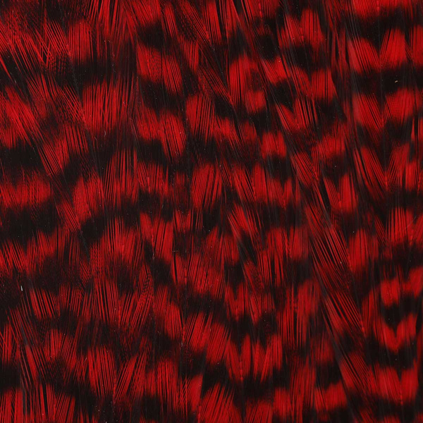 Ewing Grizzly Half Capes