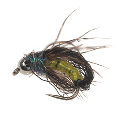 T.B Emerging Peacock Caddis