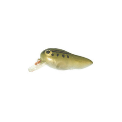 3.2 cm Rebel Tad Fry F67