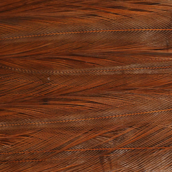 Ewing Deceiver Patch Dyed