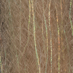 H2O Flash N Slinky 12 inch (flash)