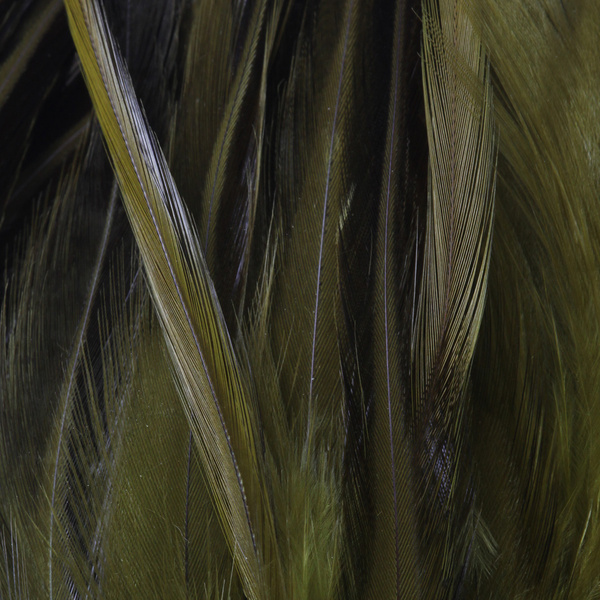 FFGene Strung Saddles Hackle