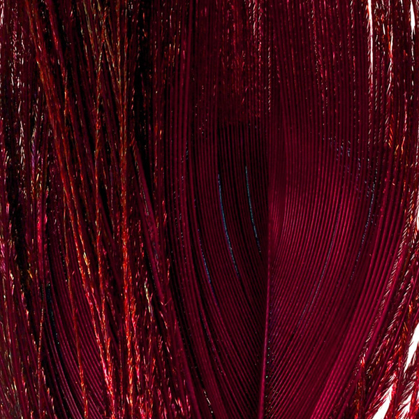 FFGene Peacock Eyes color