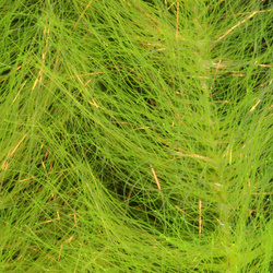 H2O Flash Blend Baitfish Brush 5 inch (flash)