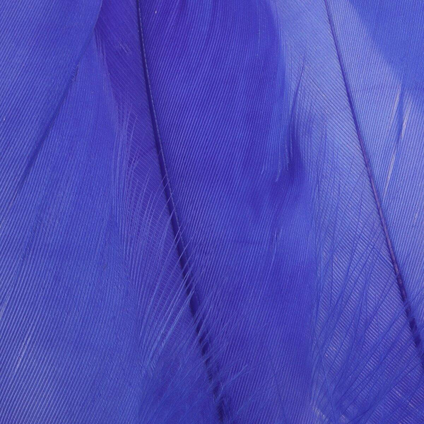 FFGene Goose Shoulders