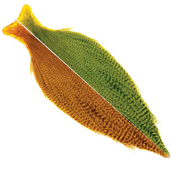 Ewing Grizzly Half Capes