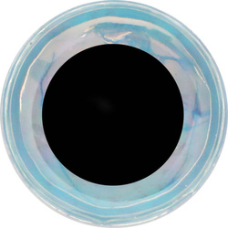 Oczy do sztucznych much FFGene Soft 3D- Eyes