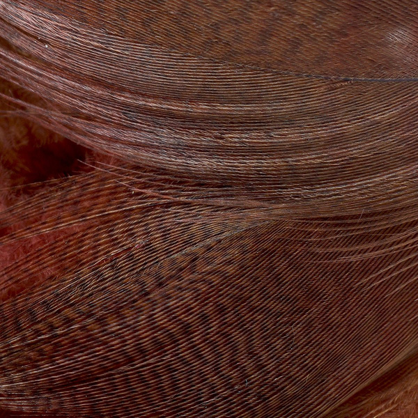 FFGene Mallard Flank