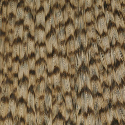 Ewing Grizzly Half Capes