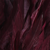 Dark Claret