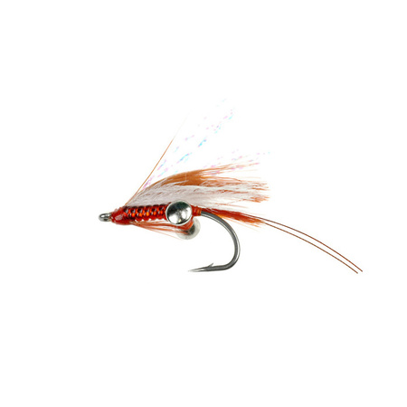 Coastal Prawn Orange (297)