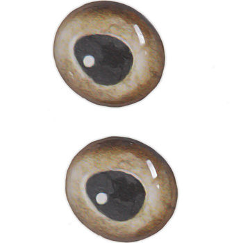 Oczy do sztucznych much Sybai 3D Epoxy Eyes Real