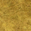 Golden Olive