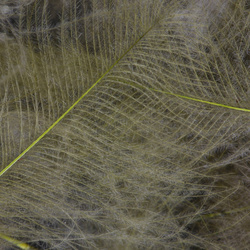 FFGene CDC Goose Jambo Pack - 1 gr