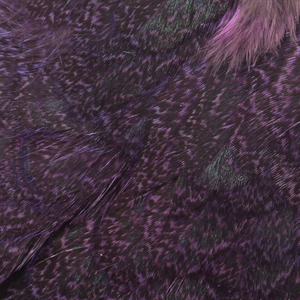 Whiting Coq de Leon Hen Saddle