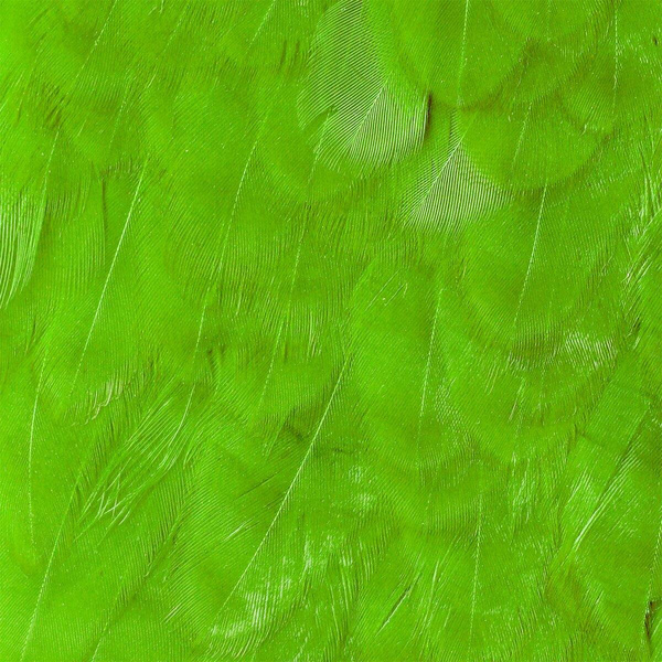 Wapsi Hen Saddle Patches