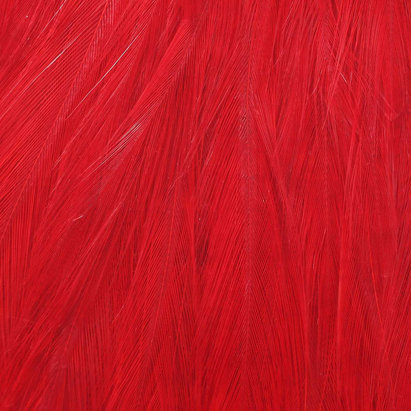 Wapsi Dry Fly Rooster Necks