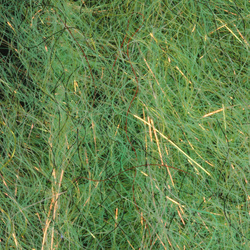 H2O Flash Blend Baitfish Brush 5 inch (flash)