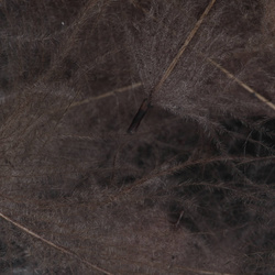 FFGene CDC Color Jambo Pack - 1 gr