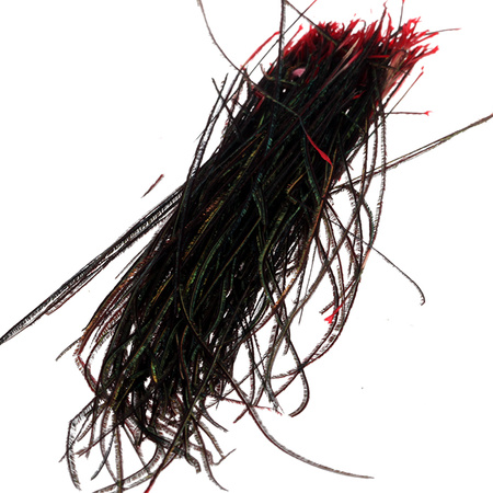 Wapsi Peacock Strung Herl
