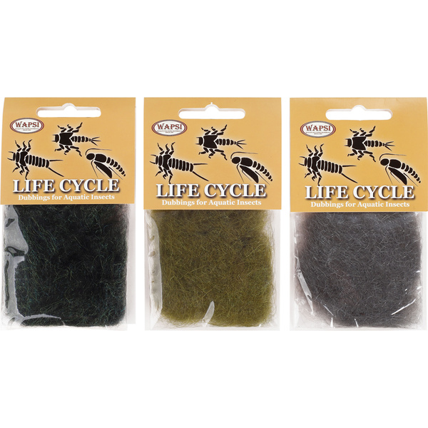 Wapsi Life Cycle - Nymph