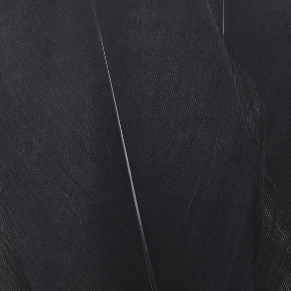 FFGene Goose Shoulders