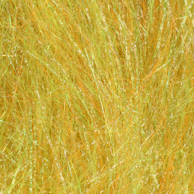 Golden Olive UVR / 24