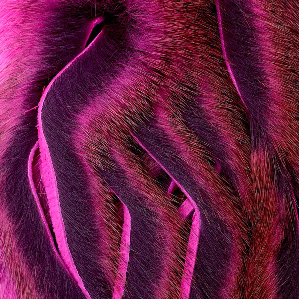 Wapsi Pine Squirrel Zonkered Skin