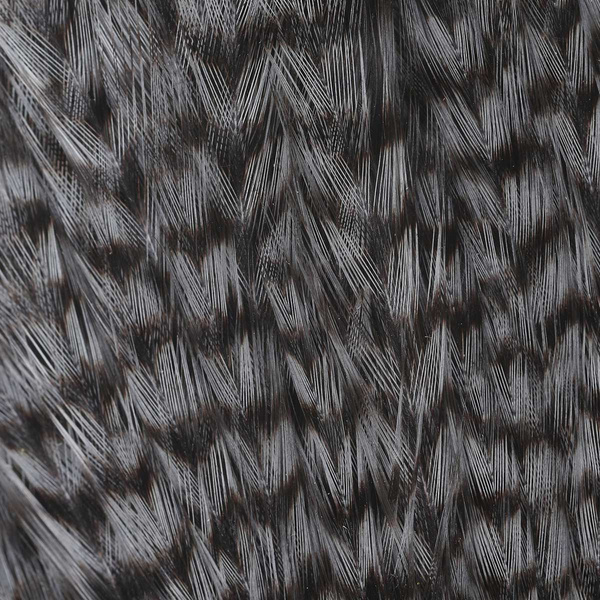 Ewing Grizzly Half Capes